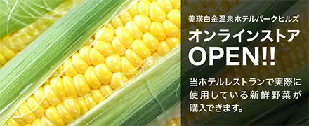 オンラインストア OPEN